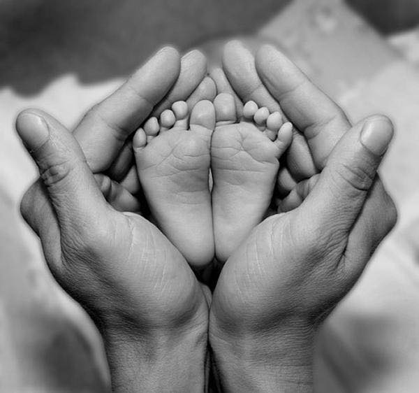 Adult hands cupping baby feet.